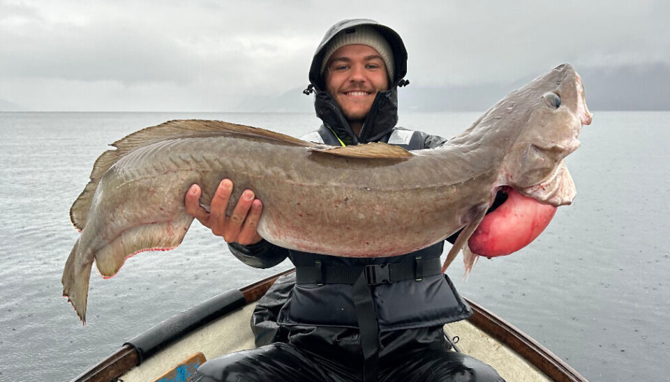 Eirik Korshamn er ny innkjøpscontroller i Salmon Group.