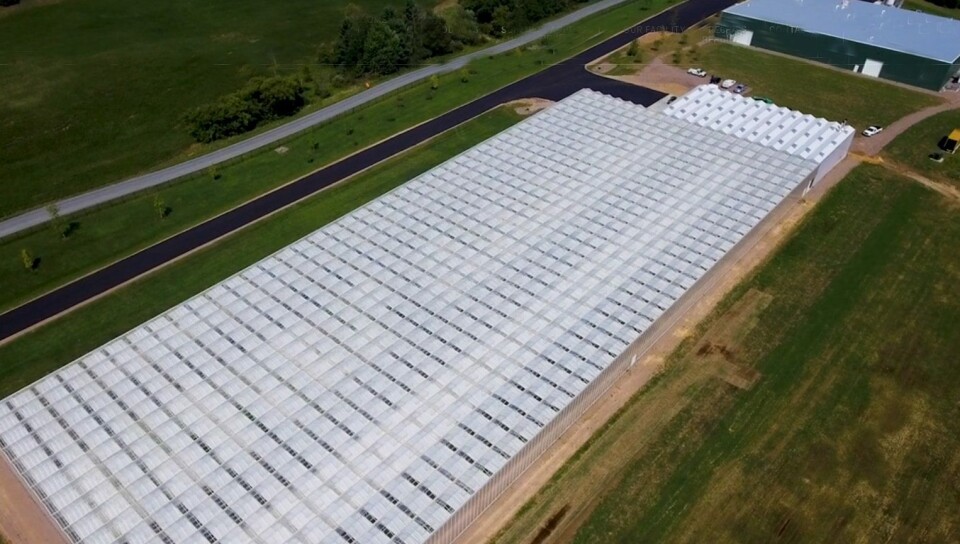 I USA er det allerede bygget landbaserte oppdrettsanlegg, og flere er under planlegging og bygging. Foto: Superior Fresh.