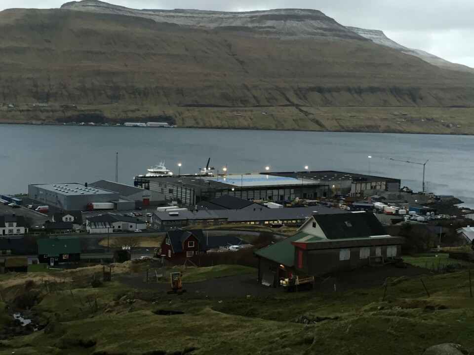 Bakkafrost har bygget et nytt storslakteri, tilsvarende syv ulike slakterier slått sammen til et stort moderne foredlingsanlegg. Foto: Regin Jacobsen.