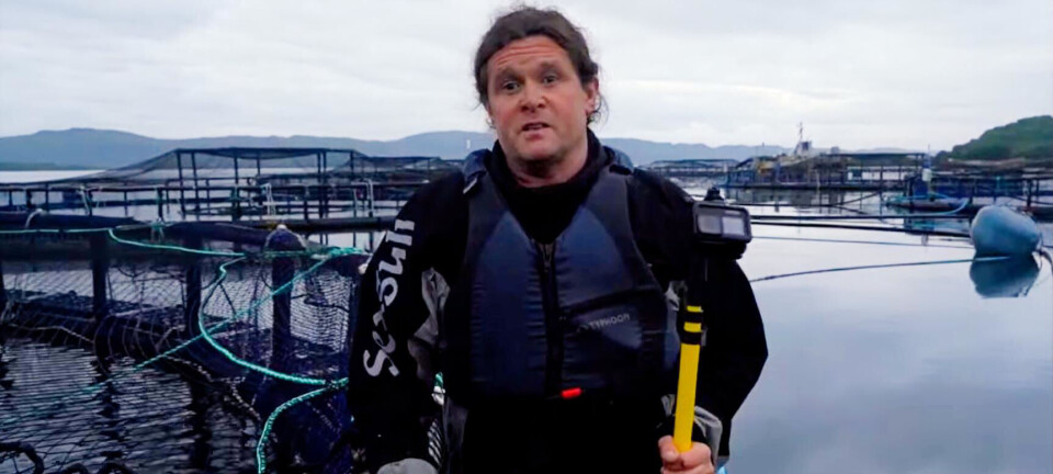 Bakkafrost will have sheriff court showdown with activist next April