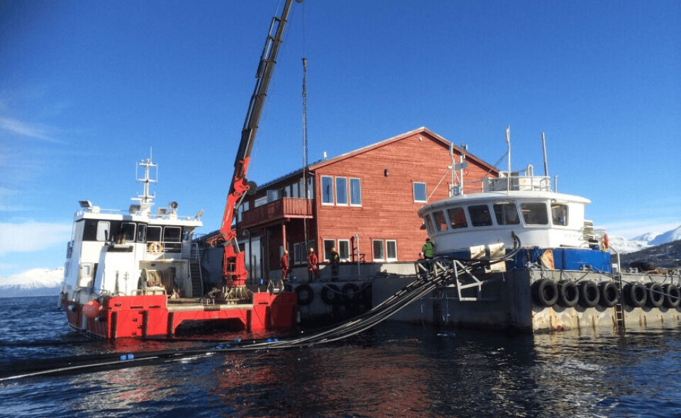 Bytte av fôrflåte hos Ballangen Sjøfarm. Foto: BS.