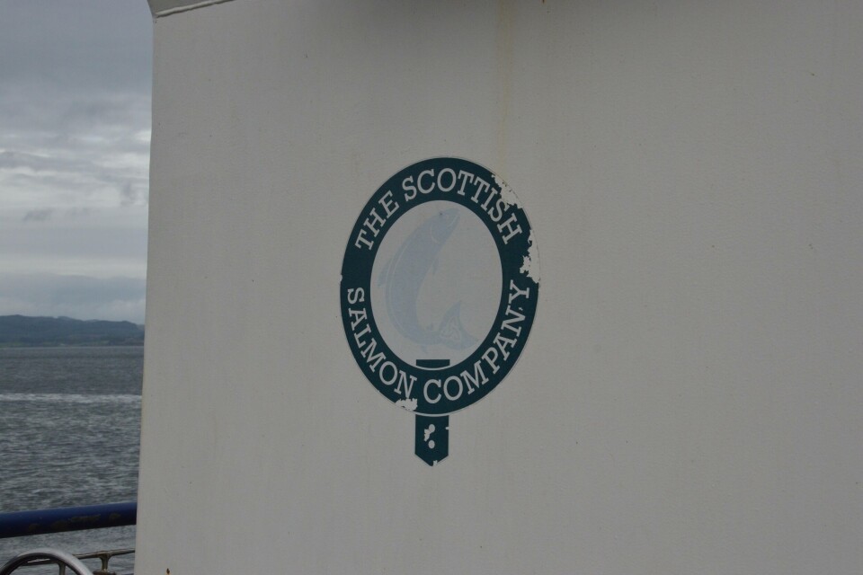 The Scottish Salmon Company, Skottland, logo