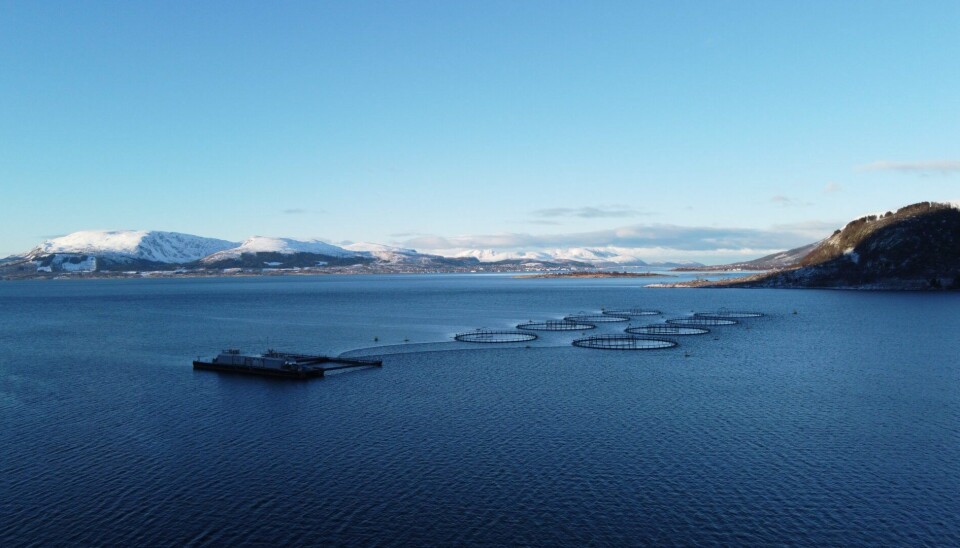 Lokalitet Innerbroksløysa.