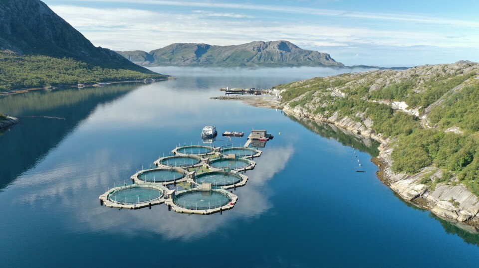 Akvafuture AS har hovedkontor i Brønnøysund og driver oppdrett av laks på tre lokaliteter i Vevelstad og Brønnøy kommune. Selskapet prosjekterer, produserer og servicerer sine egne, patenterte og lukkede merder og fasiliteter. Bildet er fra anlegget som ligger på lokaliteten Andalsvågen.