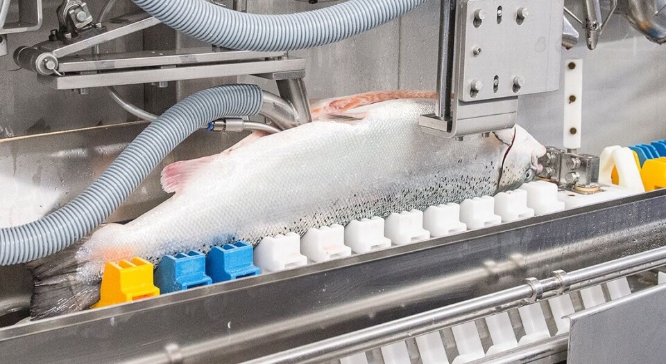 Her er fiskerenseren til Knuro i sving. Foto: Knuro