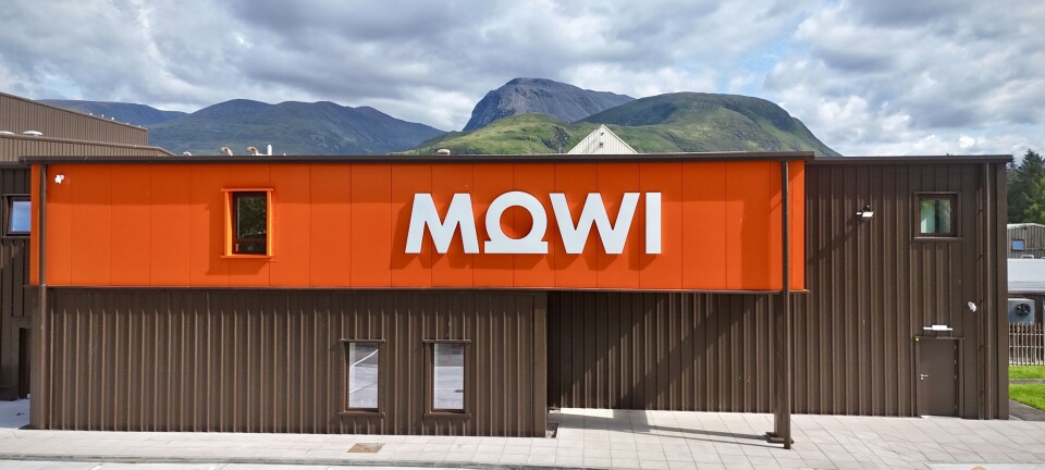 Mowi had a record-high harvest in Q3