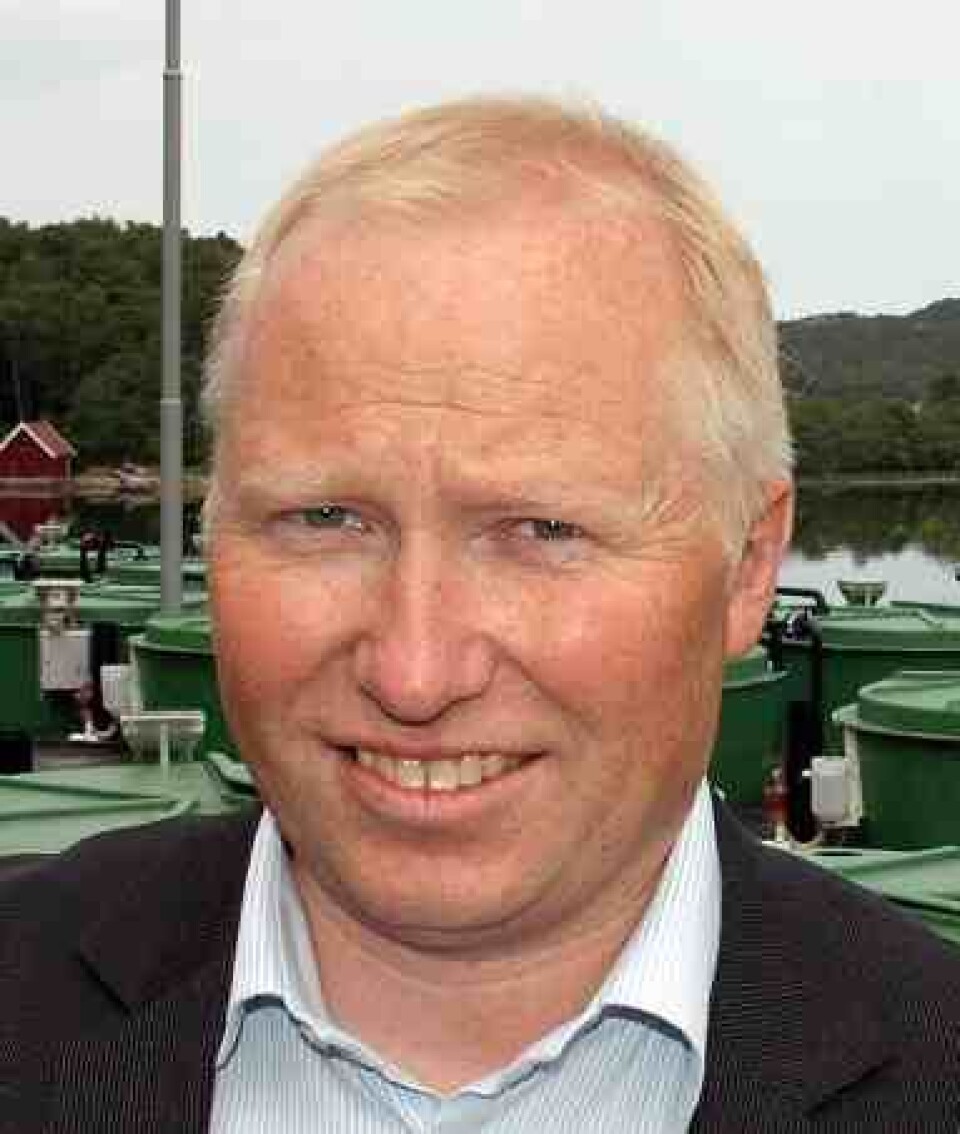 Knut Nesse