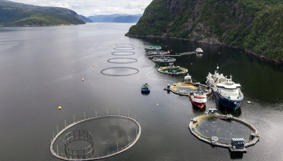 Lokalitet Mulingen er satt opp med seks lukkede FiiZK-merder. Flytting direkte til et
nedsenket anlegg lengre ut i Bindalsfjorden var ny dimensjon i Sinkaberg sitt arbeid for å
skjerme fisken fra smoltutsett til slaktemoden laks.