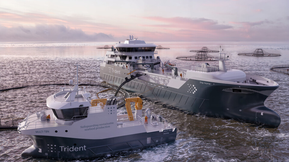 3D-illustrasjon av de to nye fartøyene Trident Aqua Services har bestilt: en brønnbåt med 4000 m³ kapasitet og et 27 meter langt servicefartøy. Begge skal bygges med batterihybrid drift.