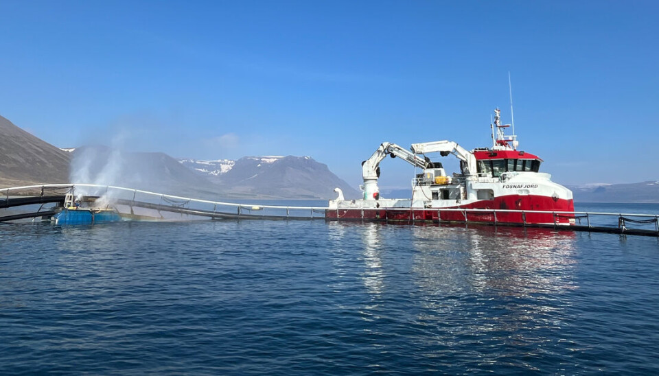 Ringvask av mannskapet på servicebåten Fosnafjord, som opererer i vestfjordene på Island. Foto: Abyss