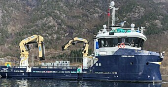 «Lovart Viking» blir oppgradert til kombinert bløgge- og servicebåt