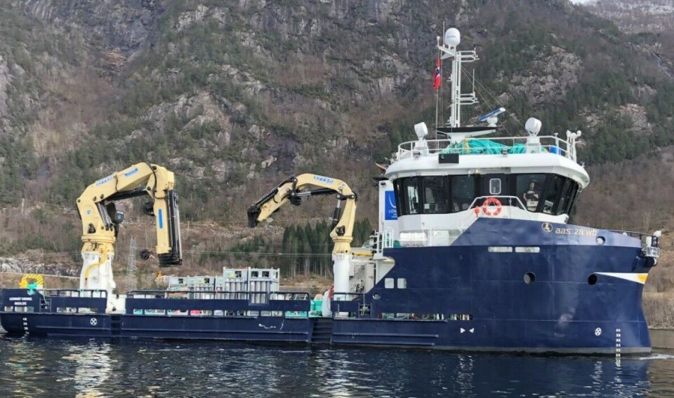 Servicebåten Lovart Viking skal oppgraderes og blir utstyrt med Optimar sin nye bløggerobot, som kan prosessere inntil 25 tonn fisk per time. Foto: FMV.