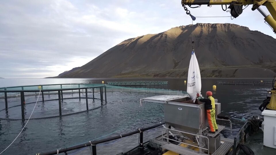 Arnarlax har oppdrettsanlegg i Arnarfjörður. Det får de fortsette med. Foto: Arnarlax.