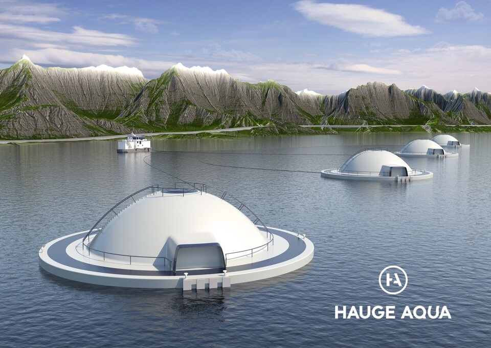 Egget vil bli seende slik ut, der hoveddelen av egget er under vannoverflaten. Illustrasjon: Hauge Aqua/Kreativ Side.