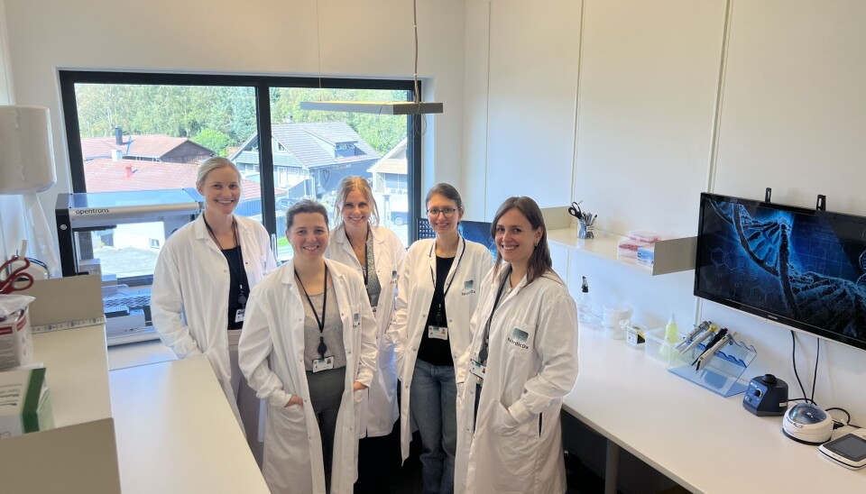 Deler av forskerteamet til NordicDx i Stavanger. Fra venstre Celine Lorentsen, Gillian Taws, Hedvig Svensson, Bahareh Valadkhani og Klevia Dishnica.