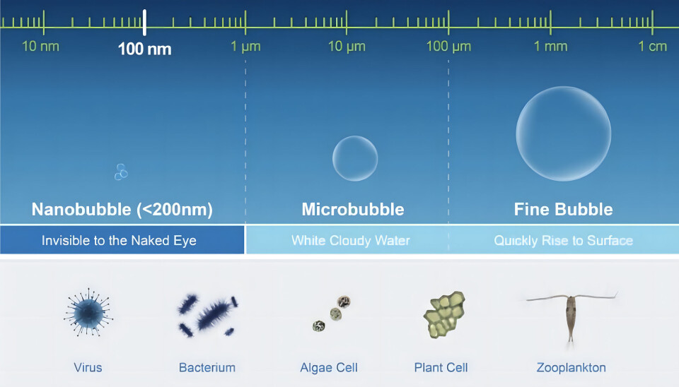 Figur 2. Visualisering av størrelsesfordeling av bobler.
