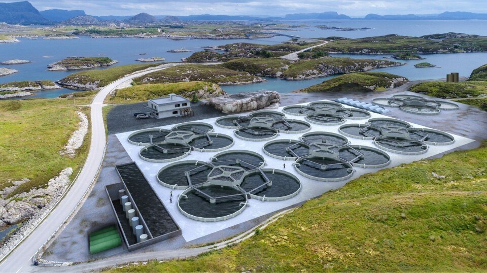Første leveranse av fisk er planlagt i løpet av våren 2022. Foto: Bulandet Miljøfisk
