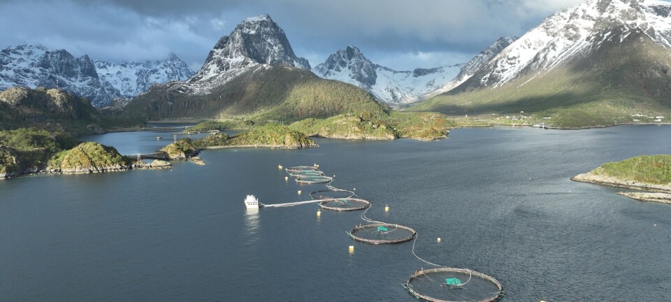 – Vi har stor avlusingsaktivitet