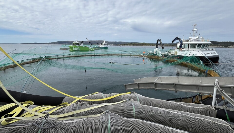 Dette studiet har vist at farge på ferskvannet som benyttes til behandling mot lakselus og gjelleamøber ikke er ensbetydende med innholdet av avgiftende organisk materiale i vannet.