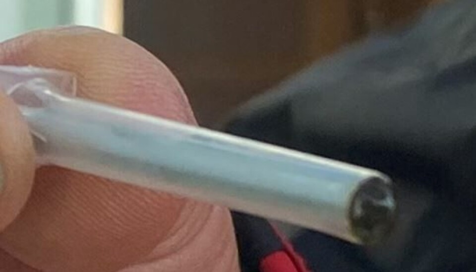 Utsnitt av renset havbunns DNA.