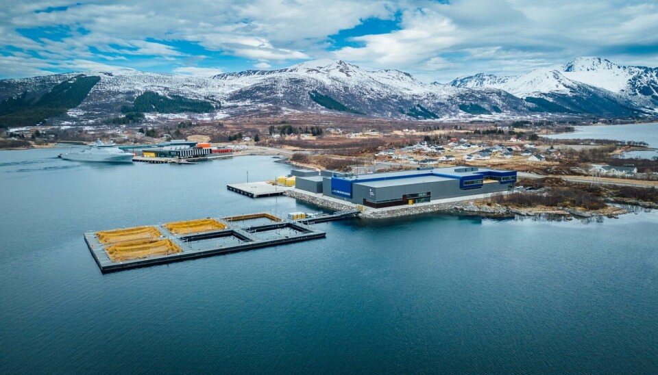 Litt av et skue: Det nye slakteriet på Holmen like nord for Sortland sentrum er blitt en viktig arbeidsplass og sikrer at Holmøy-konsernet kan beholde og utvikle viktig kompetanse lokalt.
