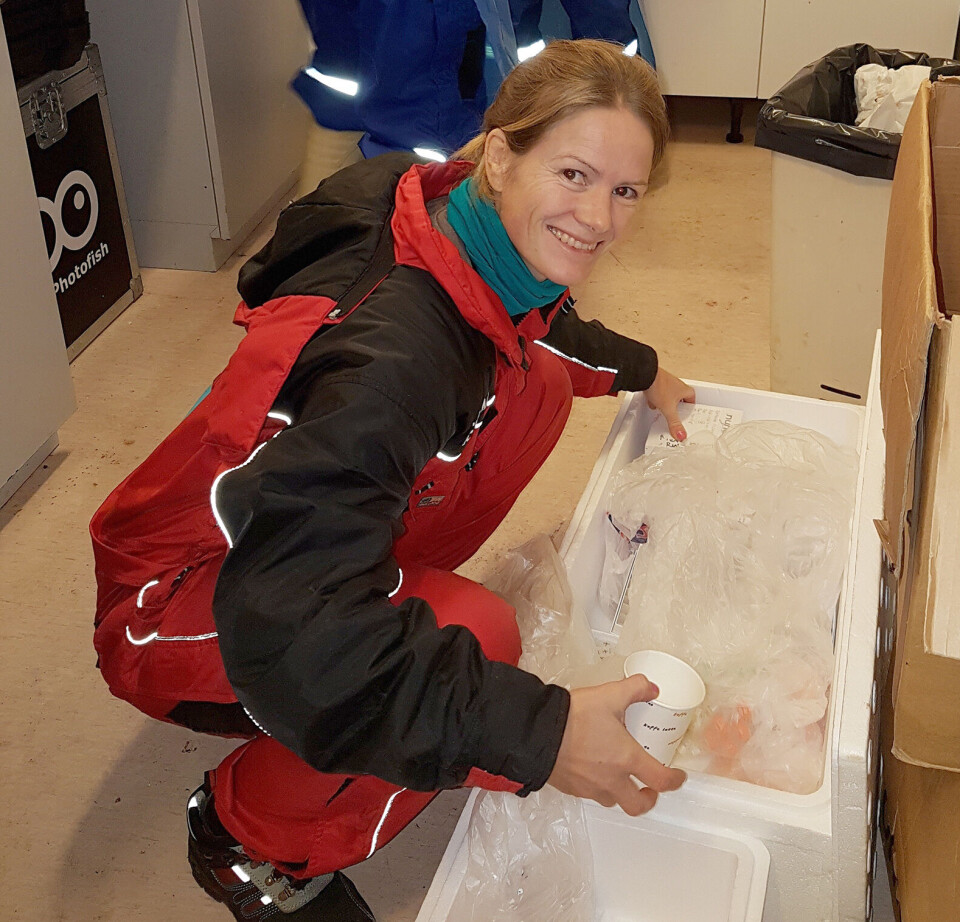 Nini Sissener har forsket på samspillet mellom mettet fett og kolesterol i laksens ernæring.