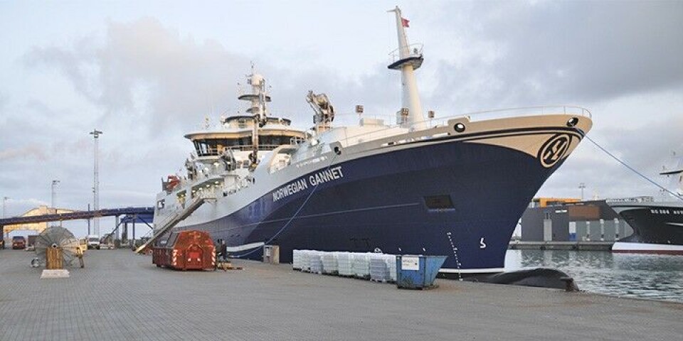 «Norwegian Gannet» med fisk fra Skottland til Hirtshals