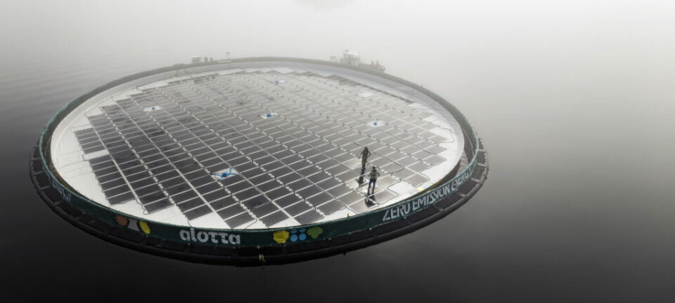 Chilean salmon farmer signs up for floating solar power supply