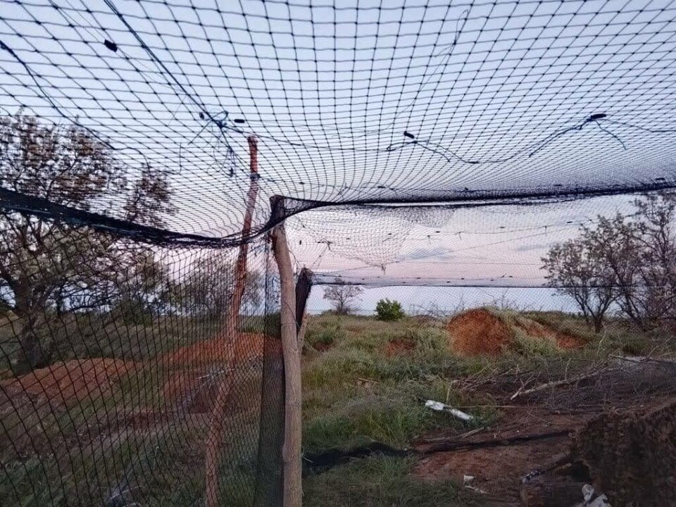 Antidronenett i Ukraina