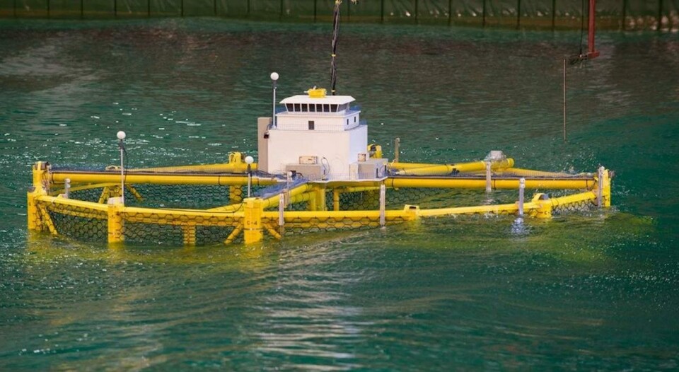 Uttesting av Salmars Ocean Farm 1 havmerd i havbasseng. Foto: Marintek/SINTEF Ocean