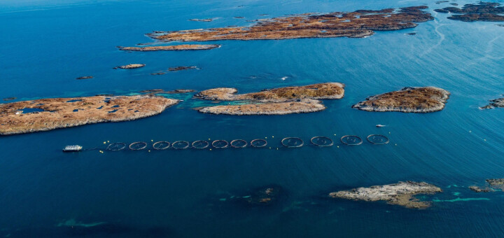 Får flere hundre tusen i bot