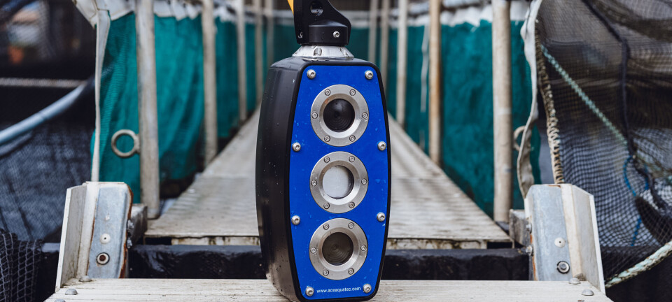 Cage camera puts Petuna in the picture despite low light levels