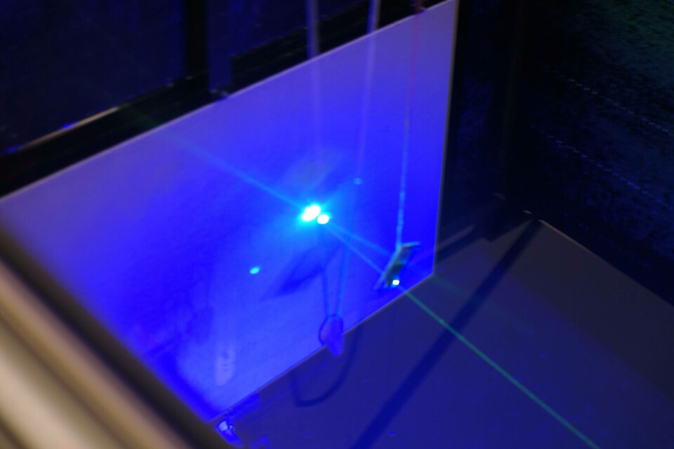 Luselaser, optisk avlusing, Foto: Stingray