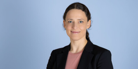 Hvordan skal ordningen praktiseres?