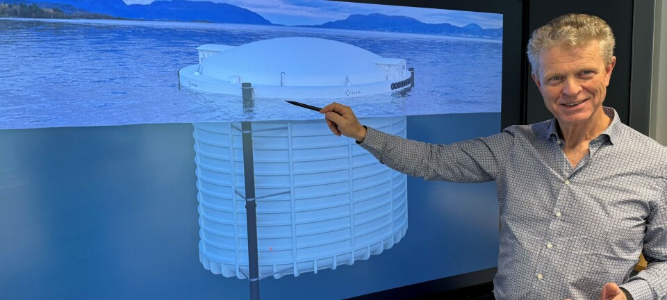 Ovum lays a fresh Egg