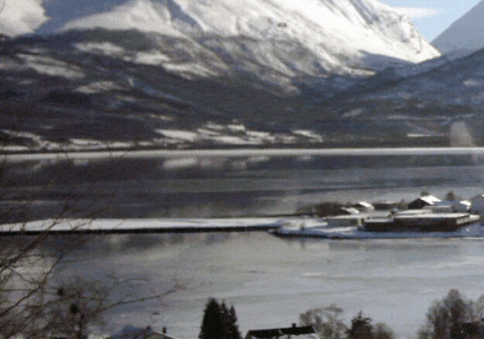 Balsfjord Amolt AS