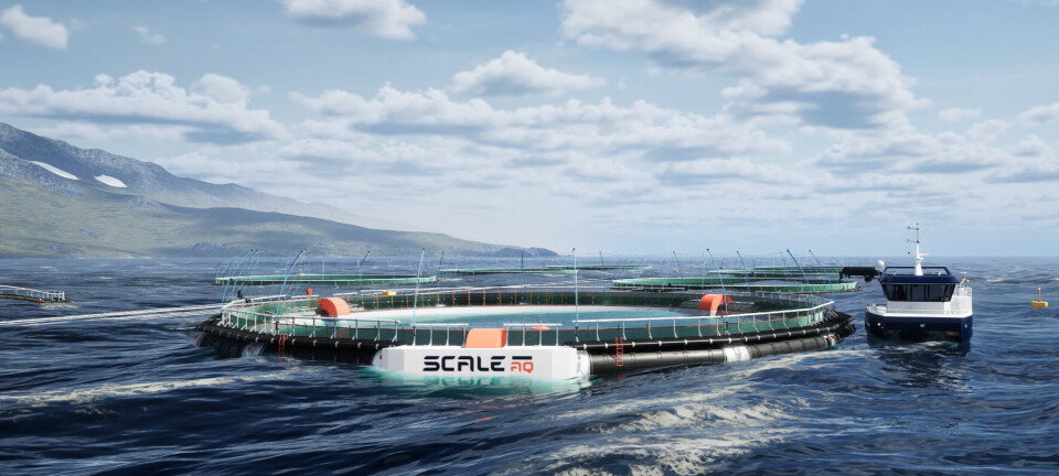 ScaleAQ sells its first closed cage