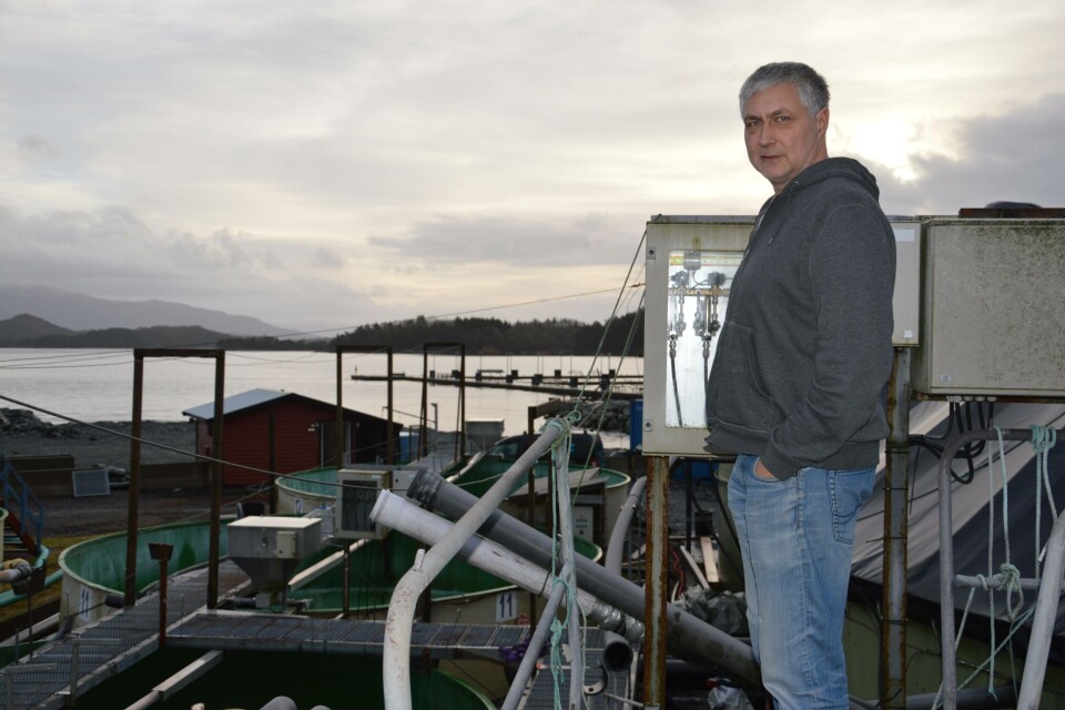 - Me vil klekka og produsera mest mogleg rognkjeks, i allefall dekka vårt eige behov, seier driftsleiar Øystein Eskeland, som visar fram anlegget på Onarheim Bruk. Selskapet har nyleg starta opp rognkjeksdrift ved det gamle smoltanlegget. Foto: Therese Soltveit