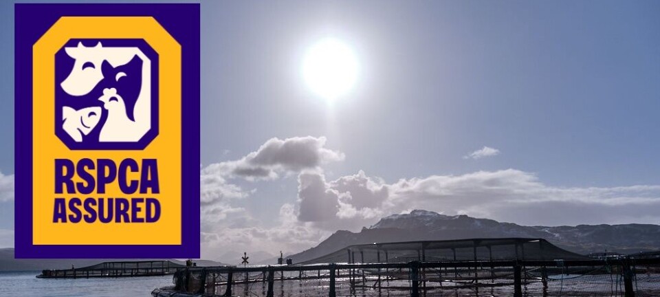 New logo is statement of intent, says RSPCA Assured