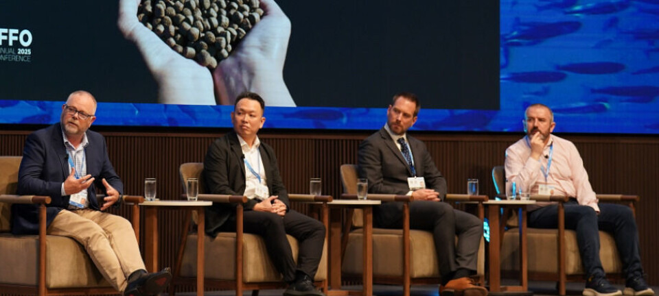 Fish byproduct growth 'bigger than all alternative ingredients'