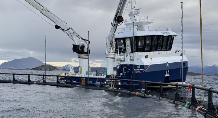 Hybridsatsing hos Folden Akva