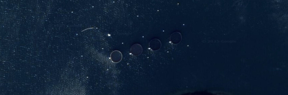 Beholder lokalitet i Alta