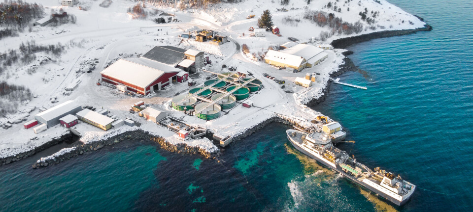 Mowi-exit ga inntektssvikt