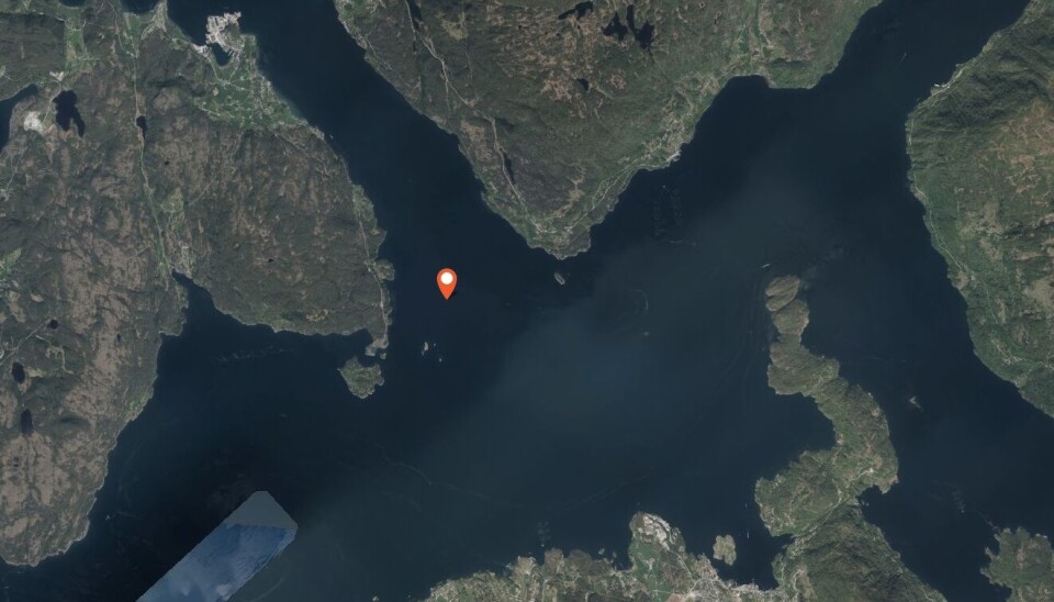 Rundt 15 oppdrettslaks er fanget i Høylandssundet, øst for Halsnøy i Kvinnherad kommune.