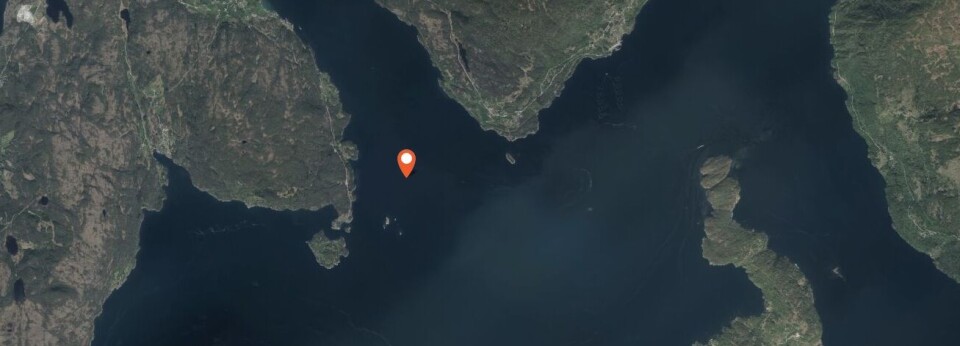 Rømt oppdrettslaks i Kvinnherad