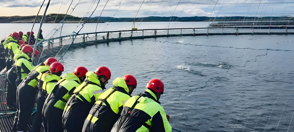 Får ikke visningstillatelse i Kristiansund