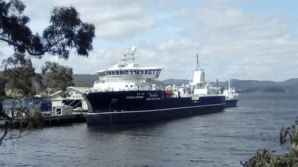 Ronja Storm, avbildet i Port Huon i Tasmania, har nylig satt enda en rekord. Foto: Huan Aquaculture.
