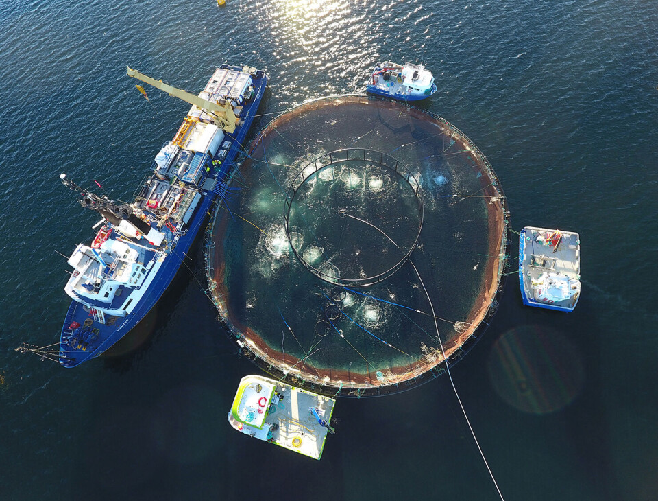 En metode der man bruker hydrogenperoksid kombinert med ultralyd, og der man til slutt tilsetter enzymer som bryter ned legemiddelet før det slippes ut, har sluppet gjennom nåløyet i et EU-prosjekt. Foto: Aqua Pharma Group
