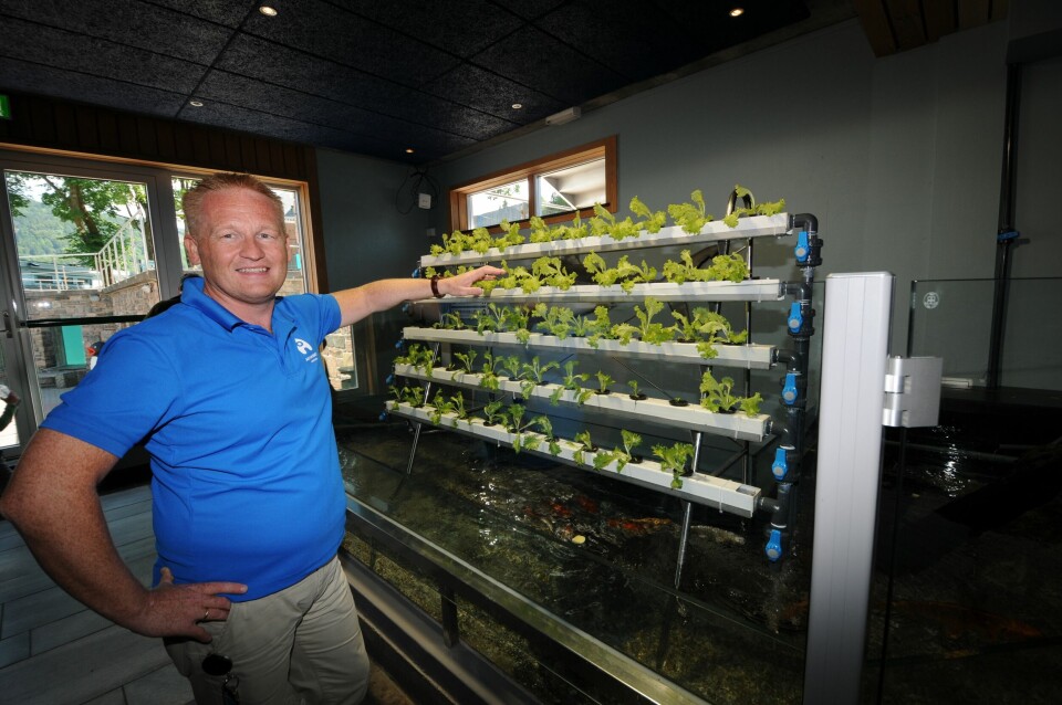 Geir Olav Melingen går fra direktørjobb på Akvariet til å bli kommersiell direktør i Benchmark Genetics. Foto: Pål Mugaas Jensen.
