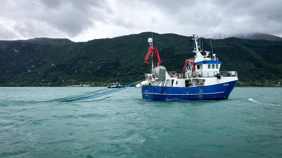 Leiefartøyet 'Fangst' tråler her laksesmolt i Hardangerfjorden. Foto: Stine Hommedal / HI